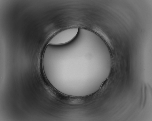 X0000088220058200705151037