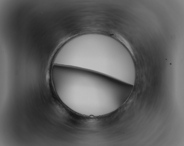 X0000088220059200705151037
