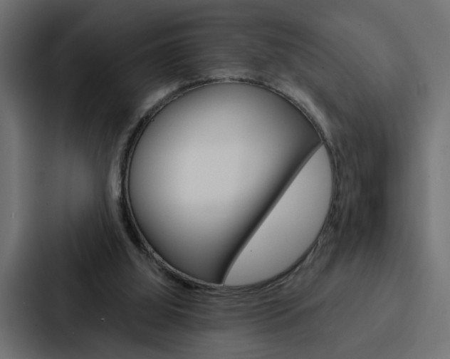 X0000088220060200705151037