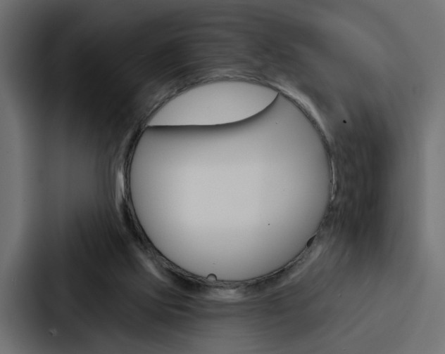 X0000088220061200705151037