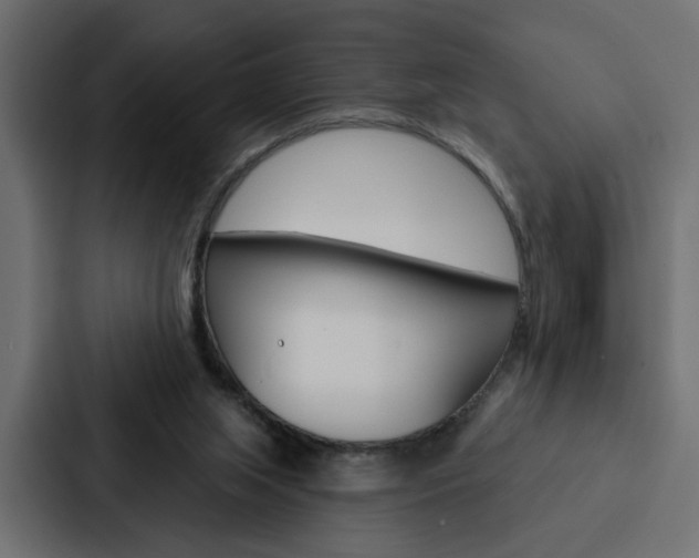 X0000088220063200705151037