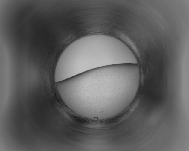 X0000088220065200705151037