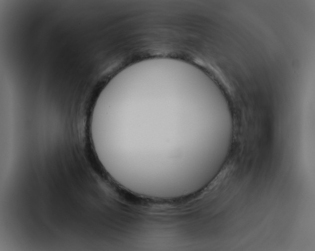 X0000088220066200705151037