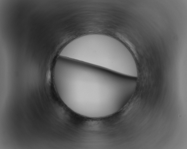 X0000088220067200705151037