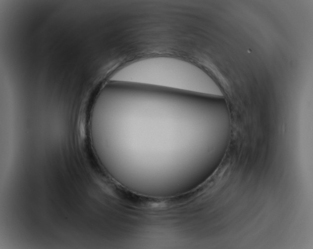 X0000088220068200705151037
