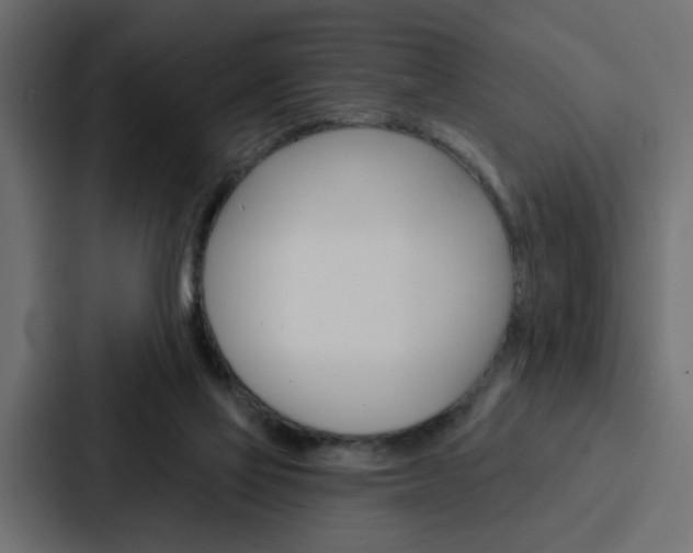 X0000088220069200705151037