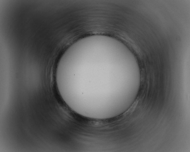 X0000088220074200705151037