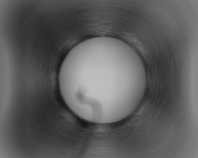 X0000088220077200705151037
