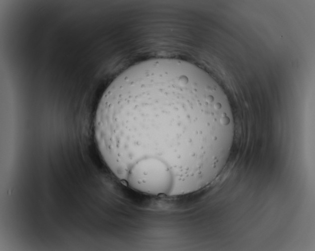 X0000088220078200705151037