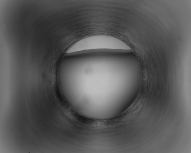 X0000088220080200705151037
