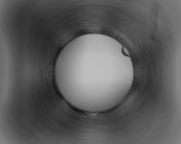 X0000088220083200705151037