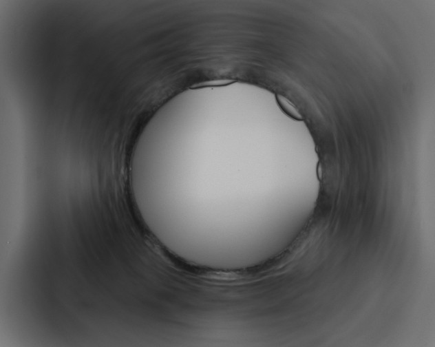 X0000088220085200705151037