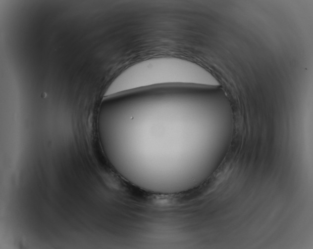 X0000088220088200705151037