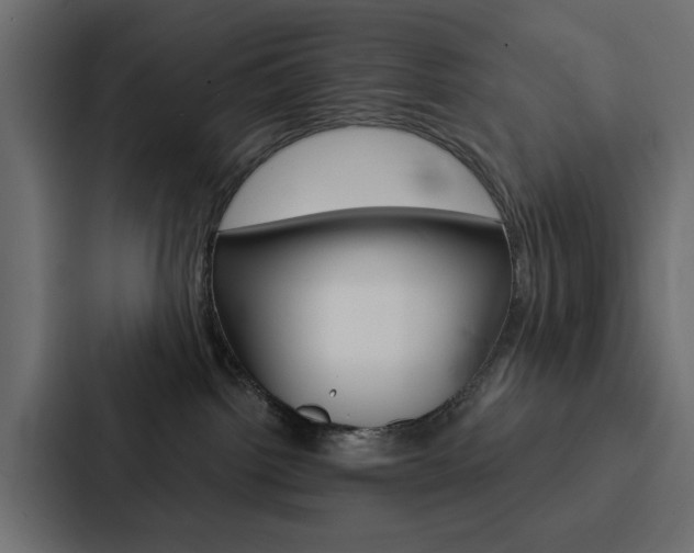 X0000088220092200705151037