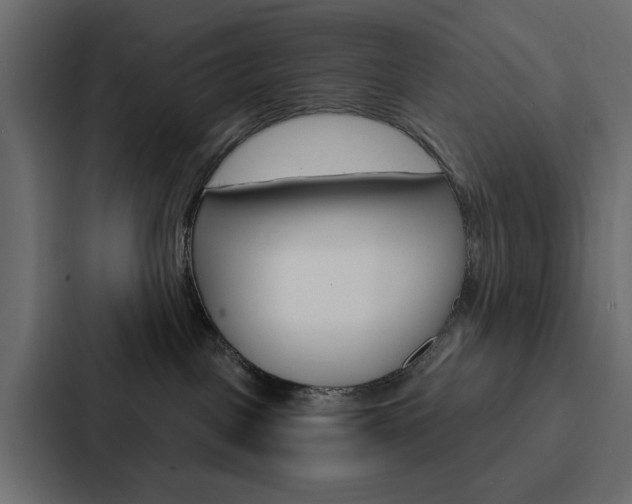 X0000088220093200705151037