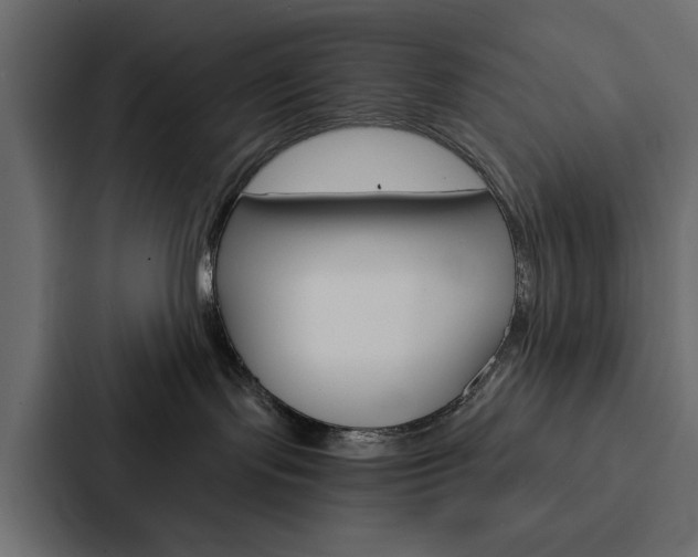 X0000088220095200705151037