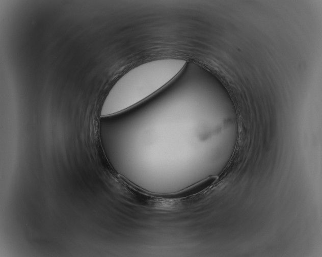 X0000088220096200705151037