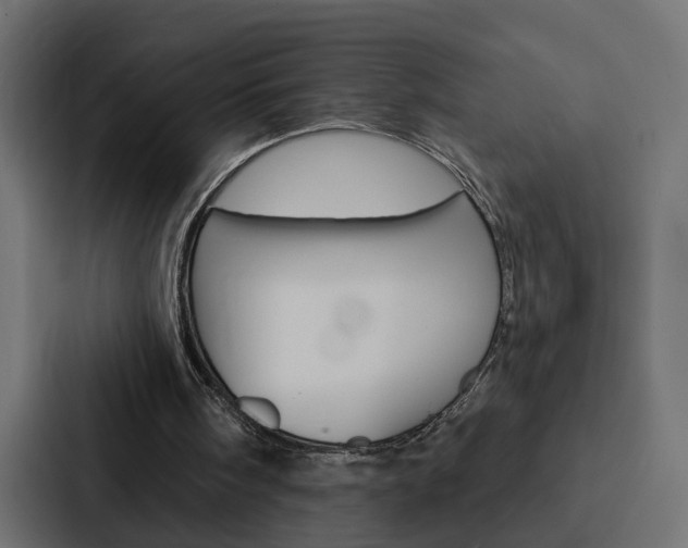 X0000088220098200705151037