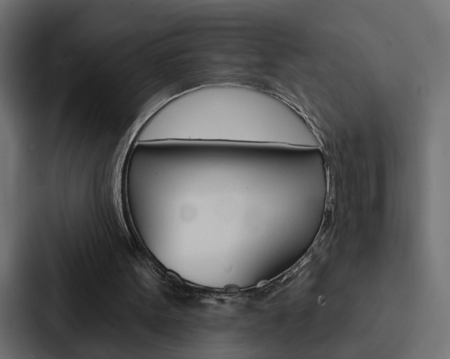 X0000088220099200705151037