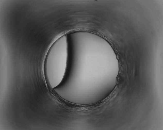 X0000088220100200705151037