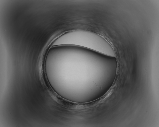 X0000088220101200705151037