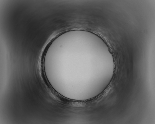 X0000088220102200705151037