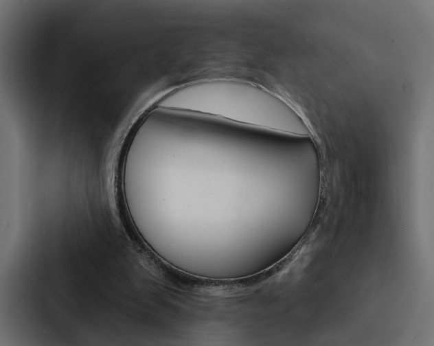X0000088220103200705151037