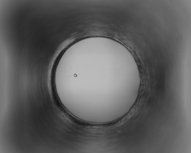 X0000088220104200705151037