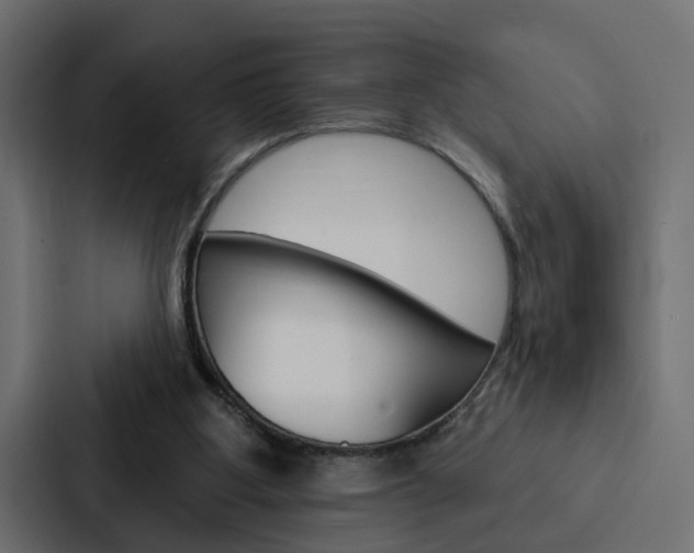 X0000088220107200705151037