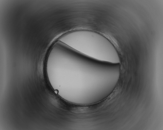 X0000088220108200705151037