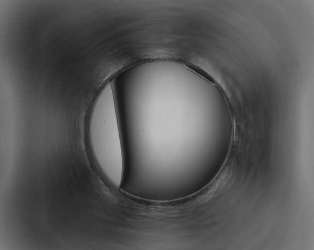 X0000088220109200705151037