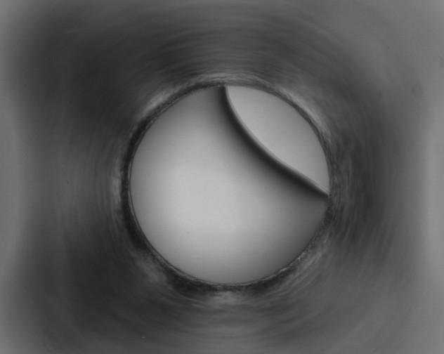 X0000088220111200705151037