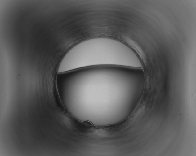X0000088220113200705151037