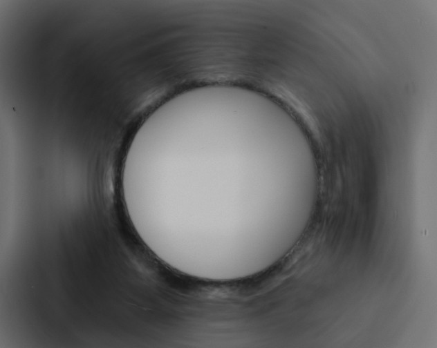 X0000088220115200705151037