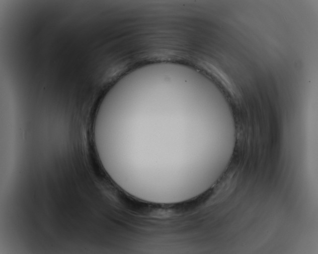 X0000088220119200705151037