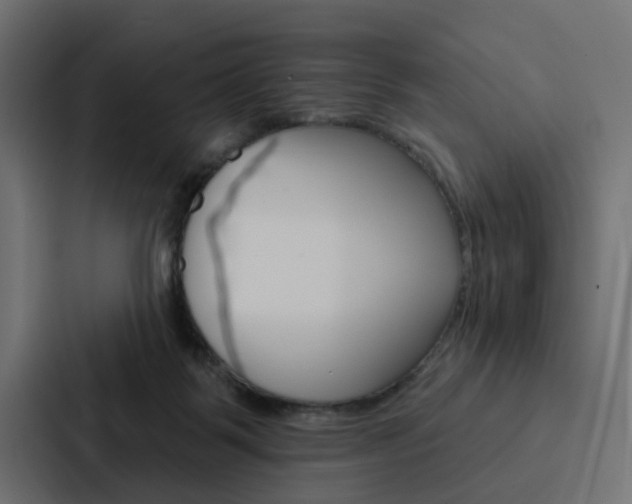 X0000088220123200705151037