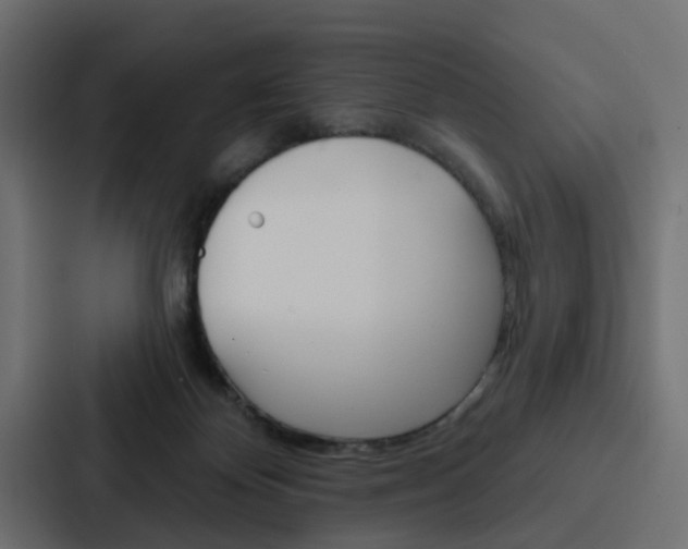 X0000088220124200705151036