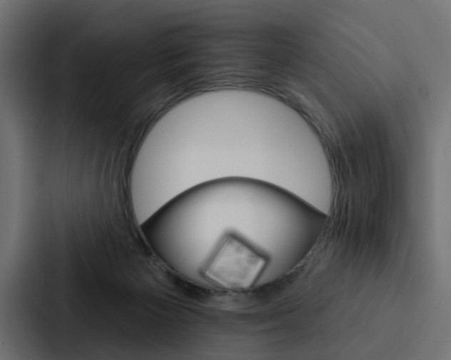 X0000088220125200705151036