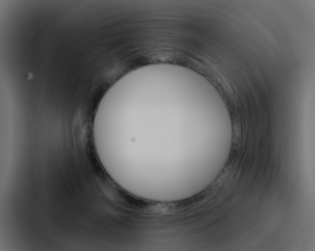 X0000088220126200705151036