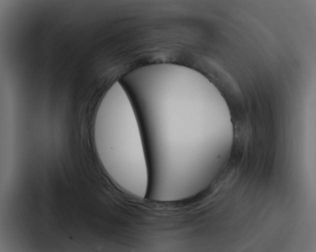 X0000088220127200705151036