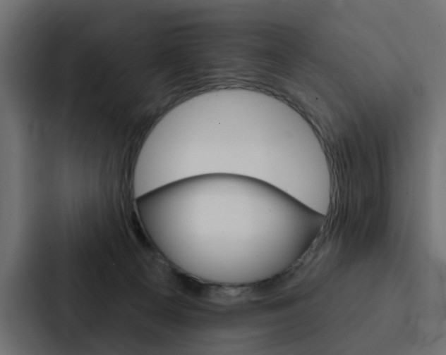 X0000088220129200705151036