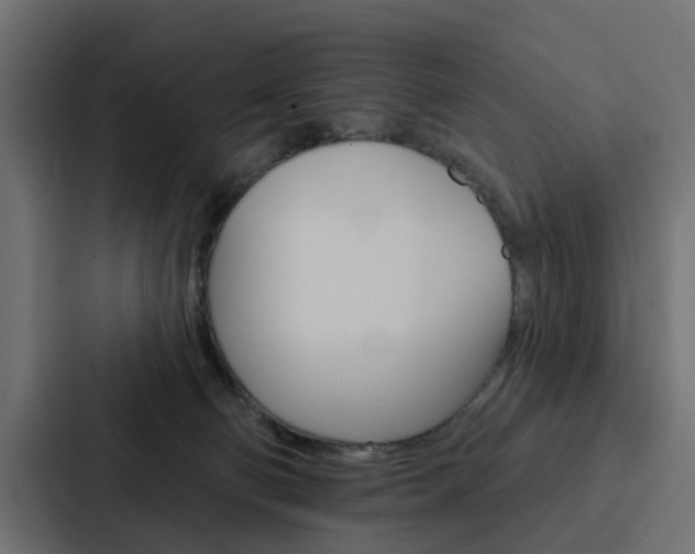 X0000088220130200705151036
