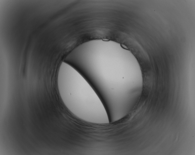 X0000088220131200705151036