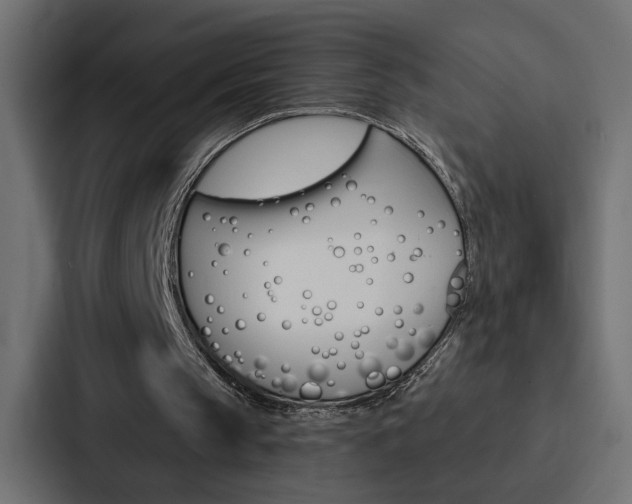X0000088220145200705151036