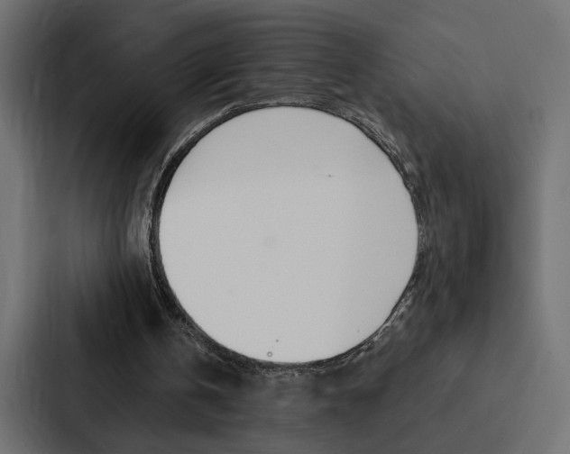 X0000088220146200705151036