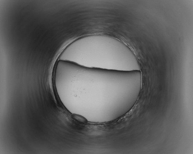 X0000088220147200705151036
