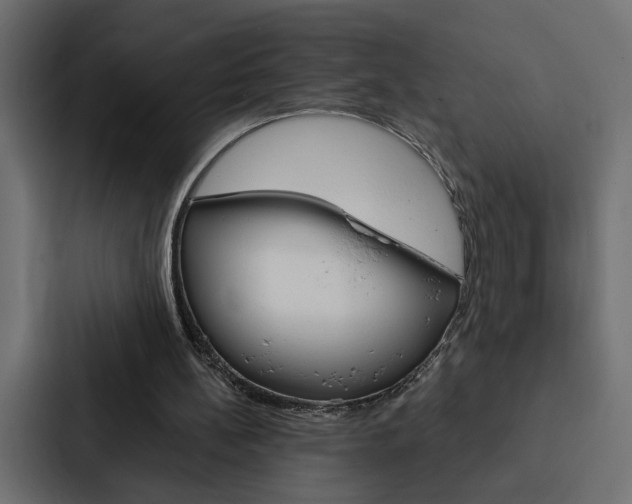 X0000088220148200705151036