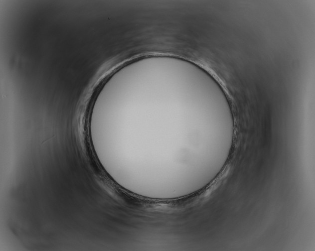 X0000088220151200705151036