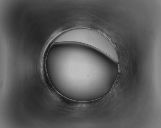 X0000088220152200705151036