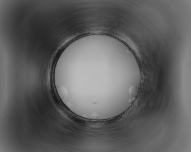 X0000088220155200705151036
